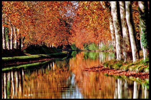 Casa Du Bassin Bed & Breakfast Castelnaudary Ngoại thất bức ảnh
